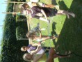 /album/fotogalerij-fotogalerij/p1280116-jpg/