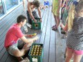 /album/fotogalerij-fotogalerij/p1280149-jpg/